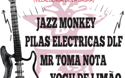 Concierto de música – Grupos Locales