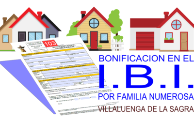 Bonificación I.B.I.