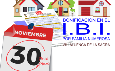 Bonificaciones en IBI para familias numerosas