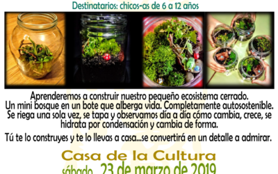 Taller didáctico de Naturaleza