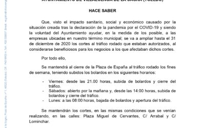 Bando Tráfico rodado