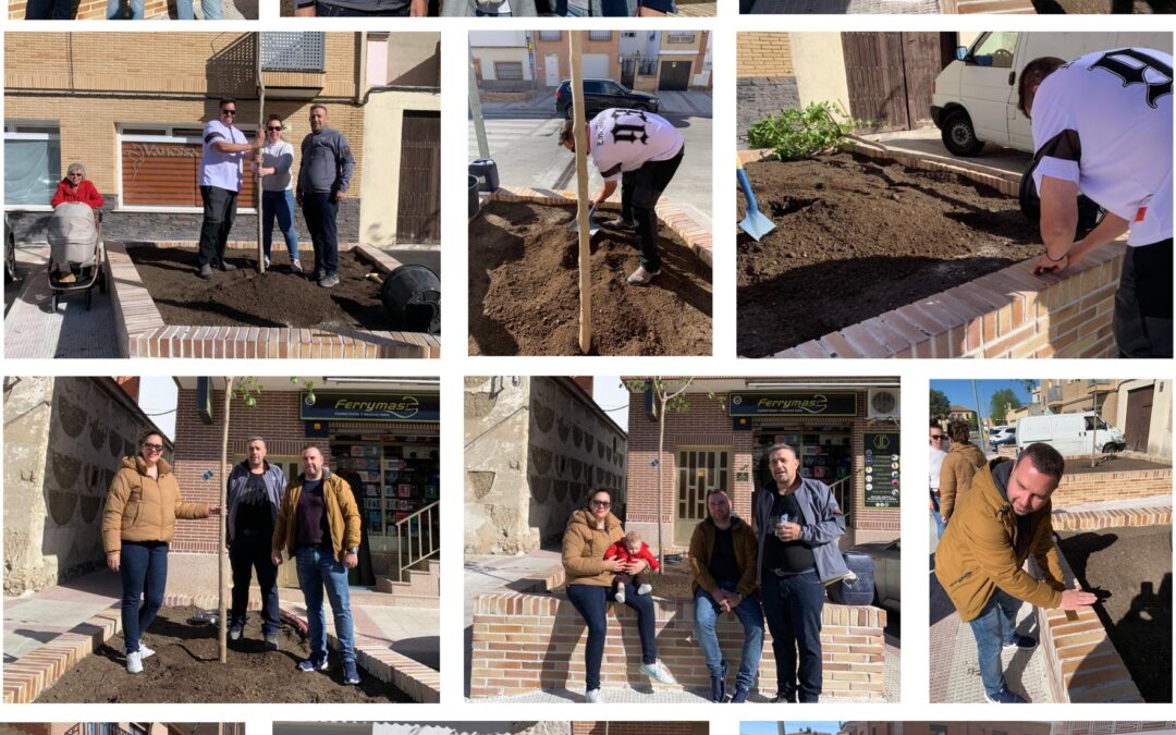 Un nacimiento, un árbol del día 15 de abril